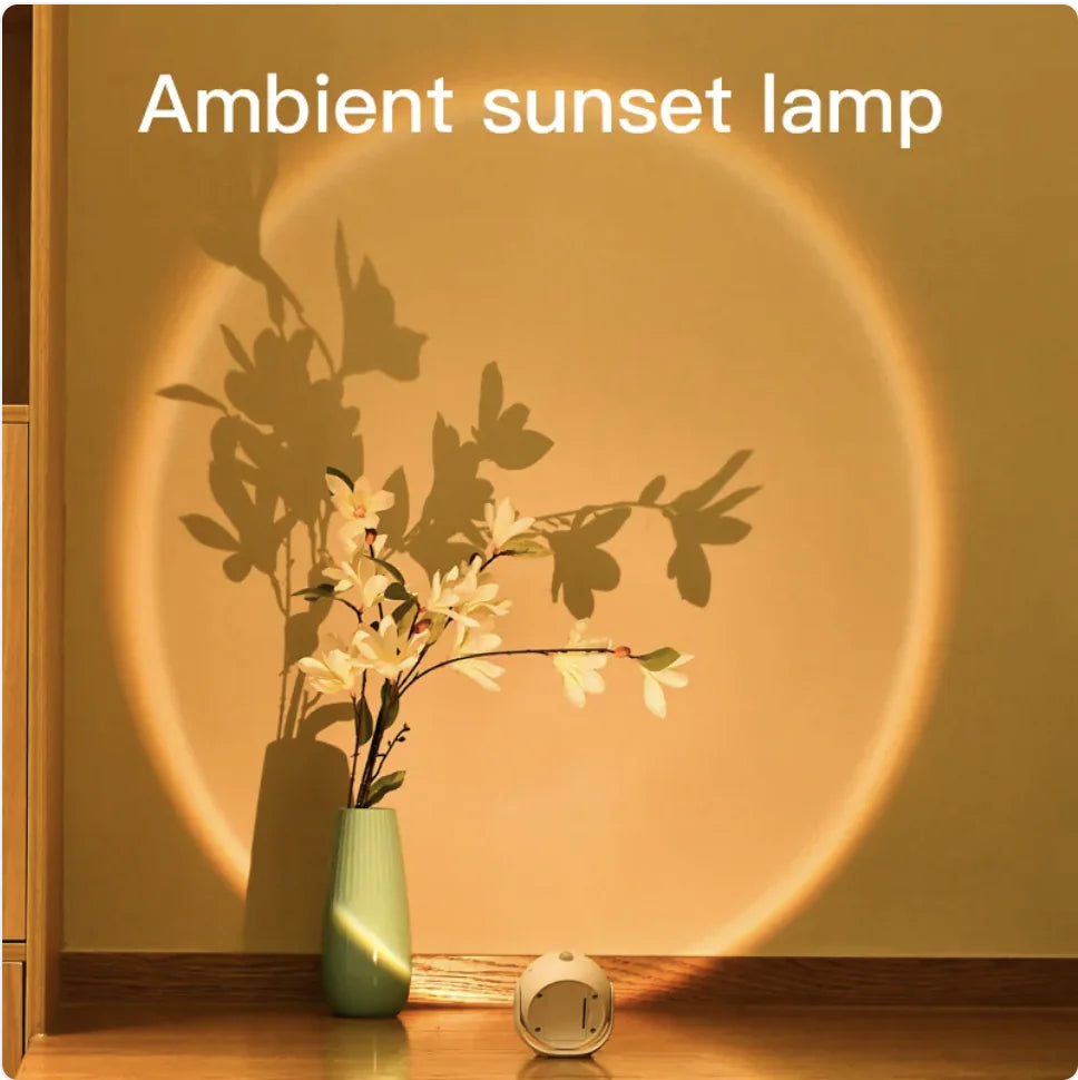 Adjustable Wireless Sunset Sensor Light